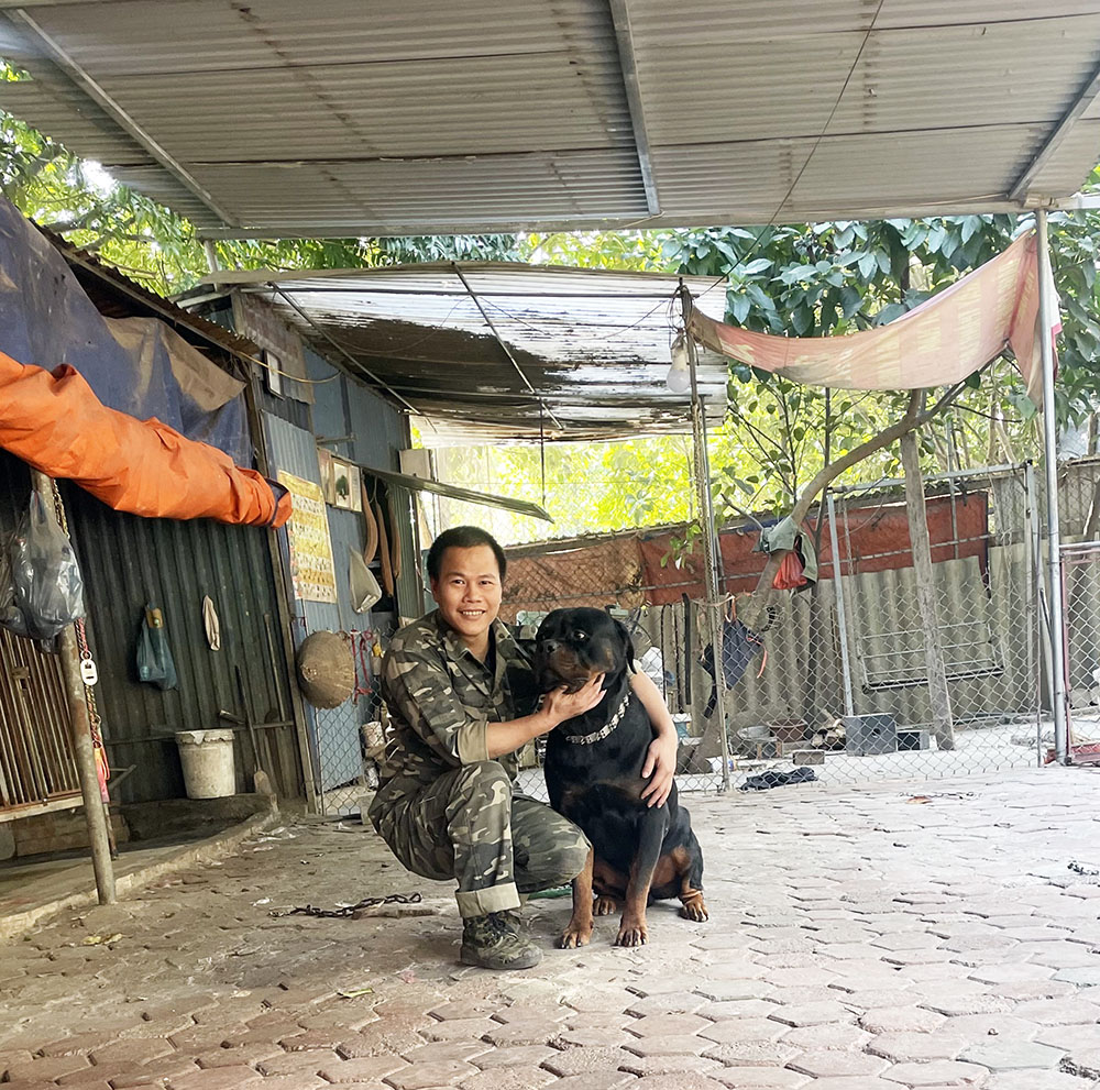 Đào tạo nghề huấn luyện viên dạy chó tại Hà Nội